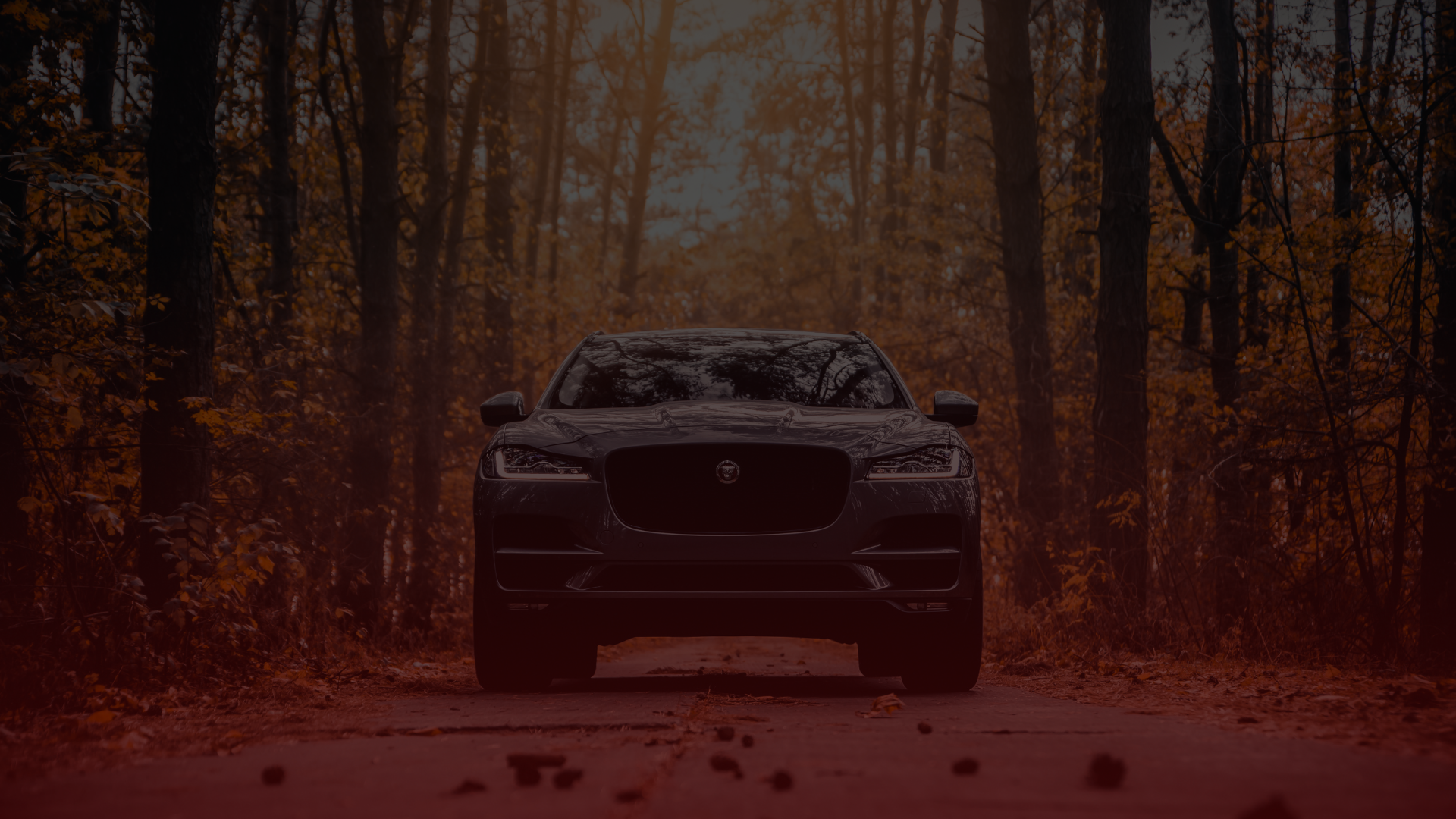 A sleek car with a prominent front grille is parked on a tree-lined road in a forest, showcasing the artistry of Jaguar design. The autumn foliage casts a warm, reddish hue over the scene, echoing the excellence found at Jaguar Repair North York. The perspective is directly facing the vehicle. EuroMechanic | McNally Auto | Top Reviewed Auto Repair Shop in North York | Visit mcnallyauto.com